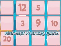 Counting Pairs Memory Challenge