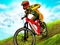 Mountain Bike Downhill Racing