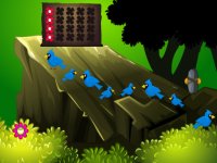 Quiet Forest Puzzle Escape