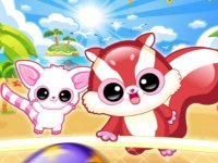 Raccoon Beach Headball Challenge