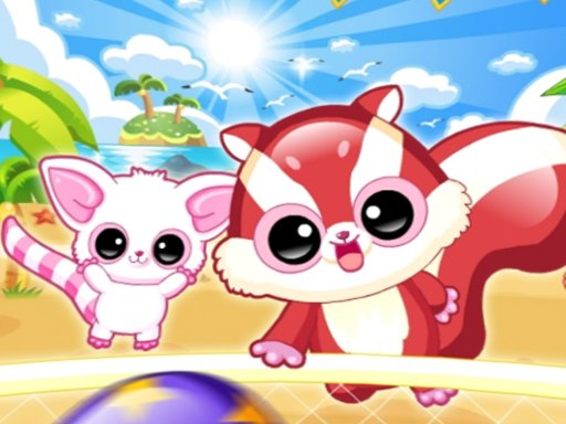 Raccoon Headball Beach Sports