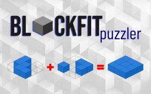 BlockFit Puzzler 3D Puzzle