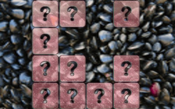 Clam Memory Match Puzzle