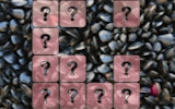 Clam Memory Match Sliding Puzzle