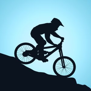 Bike Xtreme Off-Road Racing Game Arcade Game