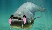 Catfish Care Idle Game