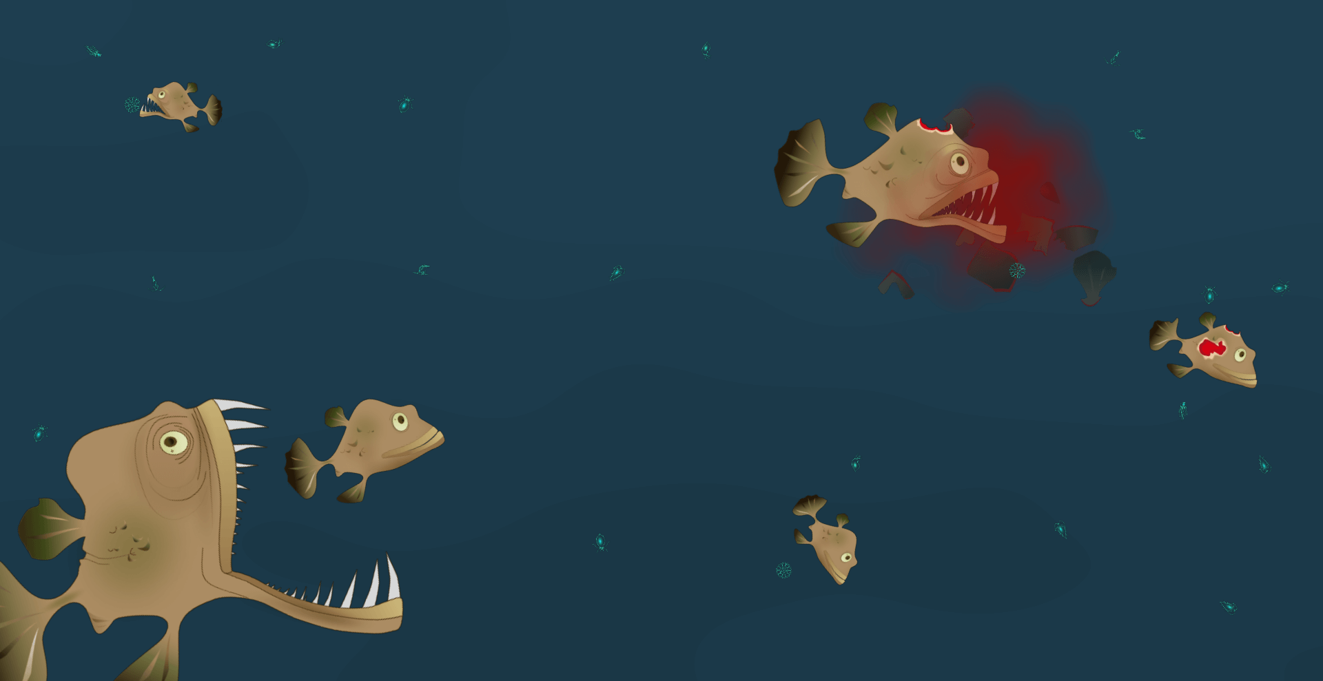 Coral Reef Expansion