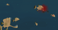 Coral Reef Expansion