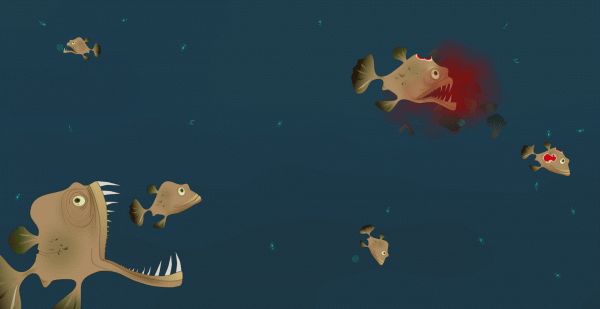 Coral Reef Expansion